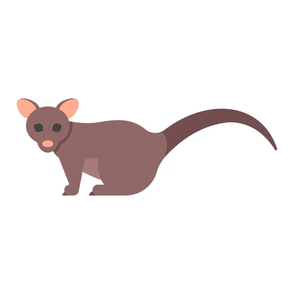 Vector flat style illustration of brushtail possum. — Stock Vector