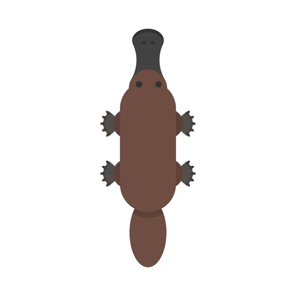Vector flat style illustration of platypus. — Stock Vector