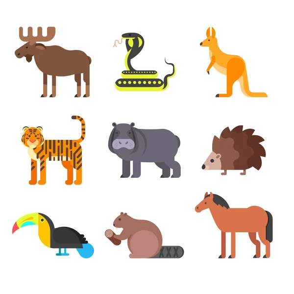 Set de animales de estilo plano vectorial. Erizo, tigre, serpiente . — Vector de stock