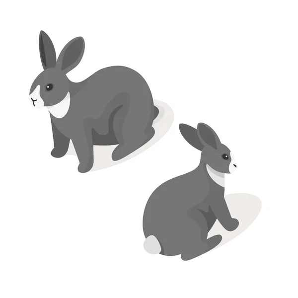 Isometric 3d vector illustration of grey rabbit — Stock Vector