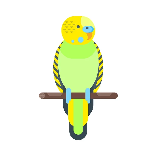 Illustrazione in stile piatto vettoriale di budgerigar . — Vettoriale Stock