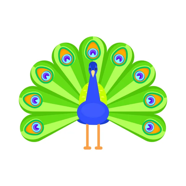 Vector flat style illustration of peacock. — Stock Vector