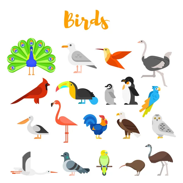 Vector flat style set of birds. — Stock Vector