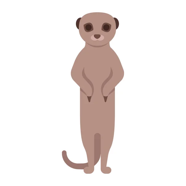 Ilustração de meerkat . — Vetor de Stock