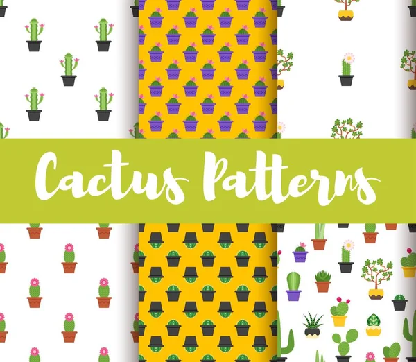 Vector flat style set of patterns with colorful cactus. — Stock Vector