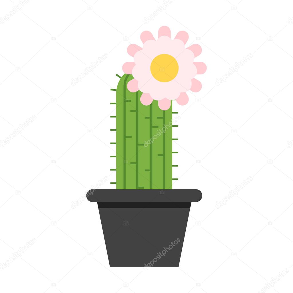 Vector flat style cactus in pot with flower on the top.