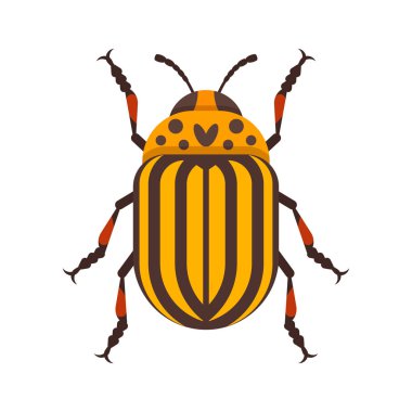 Colorado böceği vektör düz stil çizim.