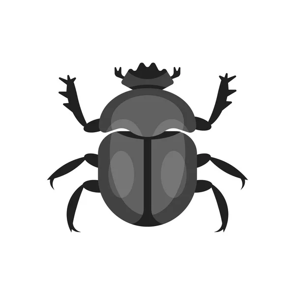 Vector flat style illustration of scarab beetle. — Stock Vector