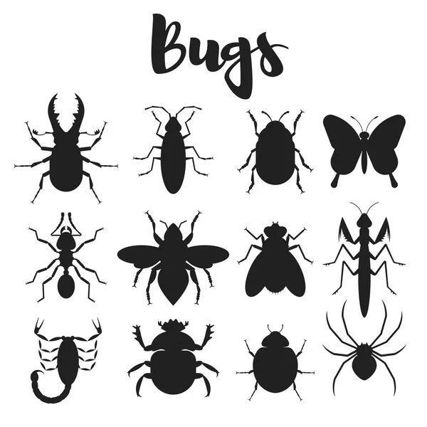 Vector monochrome set of various bugs. — Stock Vector