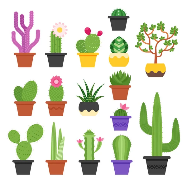 Ploché barevné vektorové sada různých kaktusů — Stockový vektor