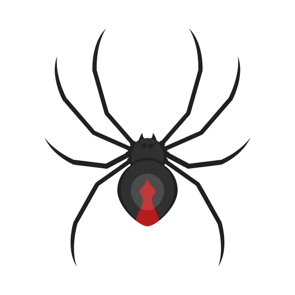 Vector flat style illustration of spider. — Stock Vector