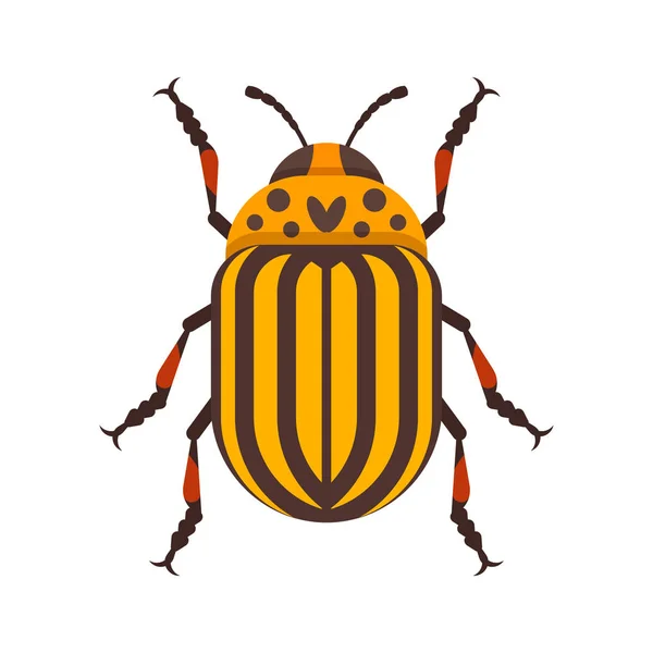 Vector flat style illustration of Colorado beetle. — Stock Vector