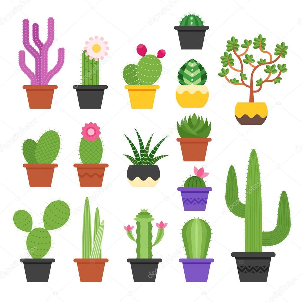 Vector flat colorful set of various cactus 