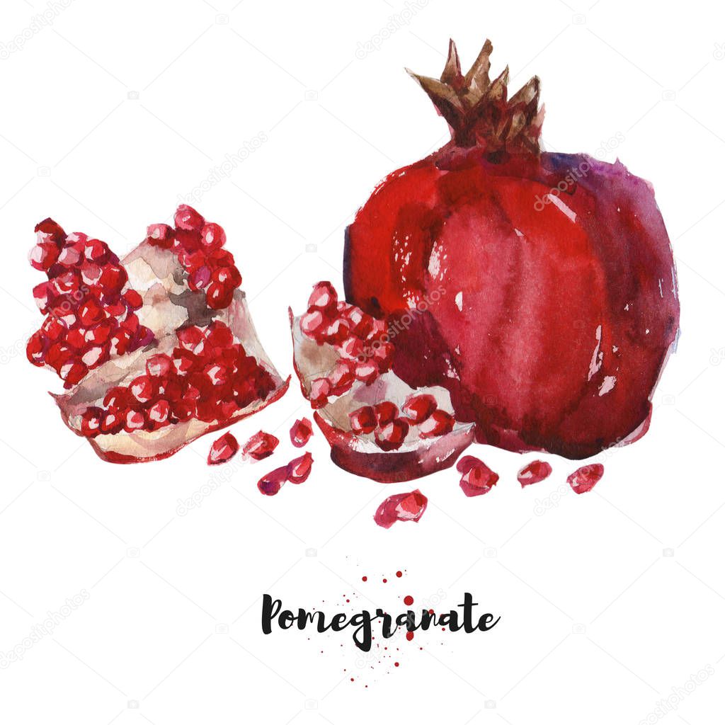 Watercolor hand drawn illustration of pomegranate. Raster design element