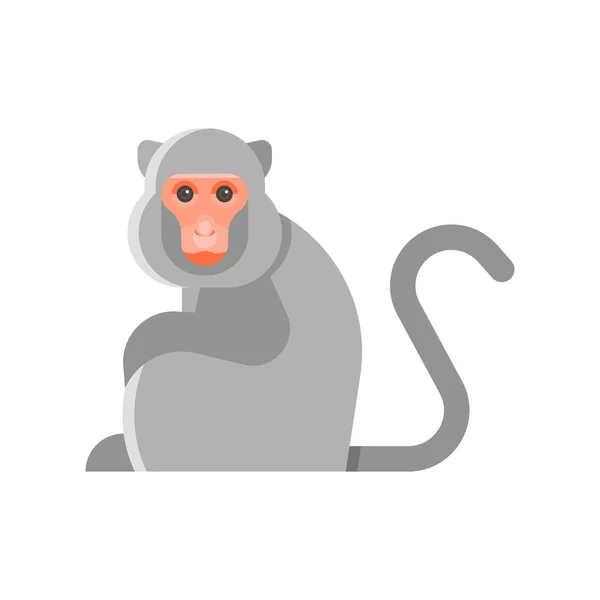 Εικονογράφηση διάνυσμα επίπεδη στυλ μαϊμού. — Διανυσματικό Αρχείο
