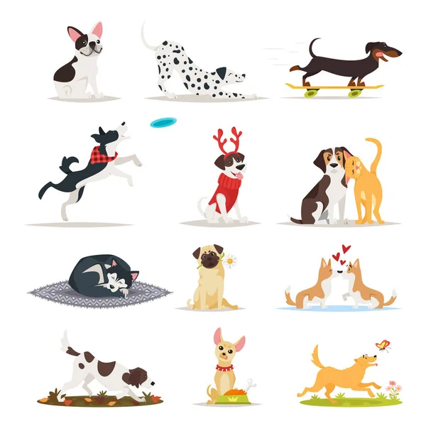 Set of different dog breeds — Stock Vector