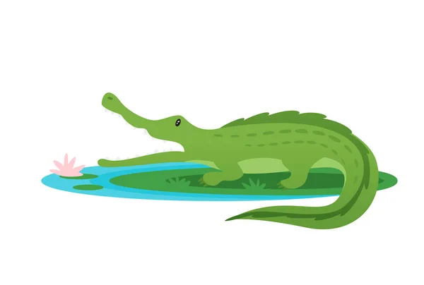Illustration of green crocodile — Stock Vector
