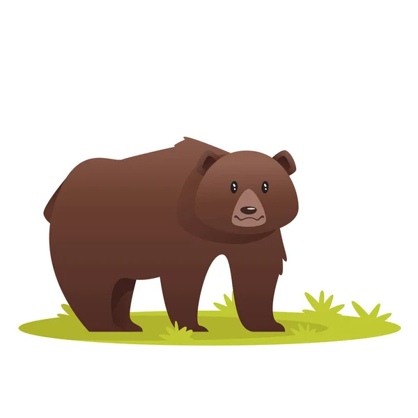 Illustration de l'ours — Image vectorielle