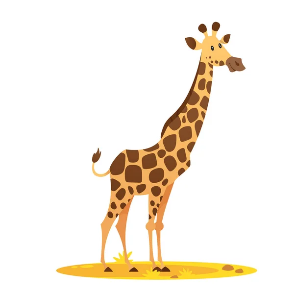 Illustrazione della giraffa — Vettoriale Stock