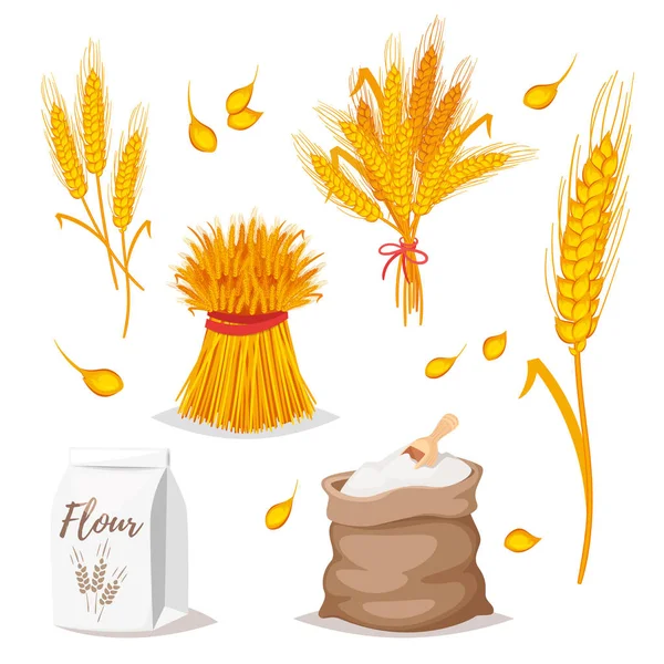 Illusztráció: gabonafélék - búza. — Stock Vector