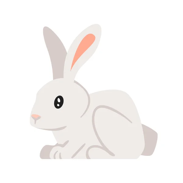 Huis dier huisdier - konijn — Stockvector