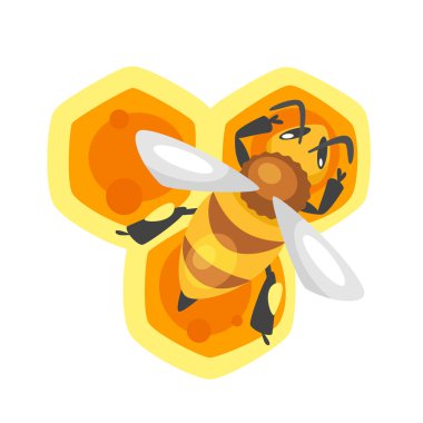 Petek üzerinde oturan arı