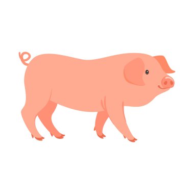  çiftlik hayvan - domuz