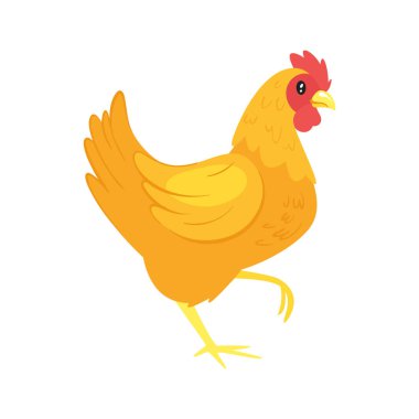 çiftlik hayvanı - tavuk