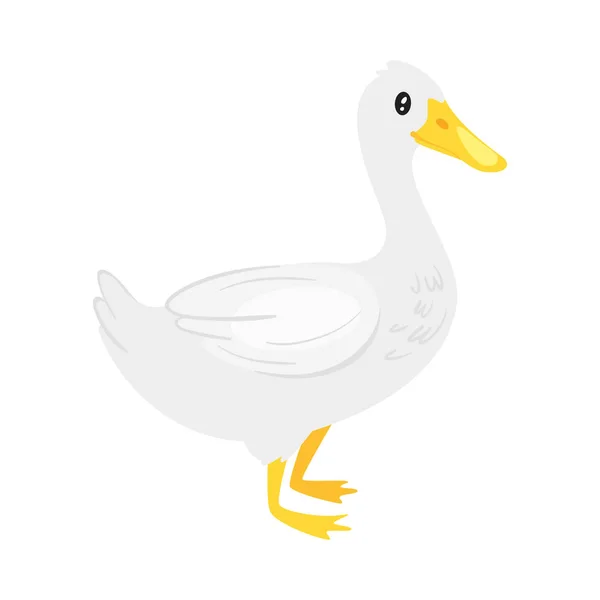 Nutztier - Ente — Stockvektor