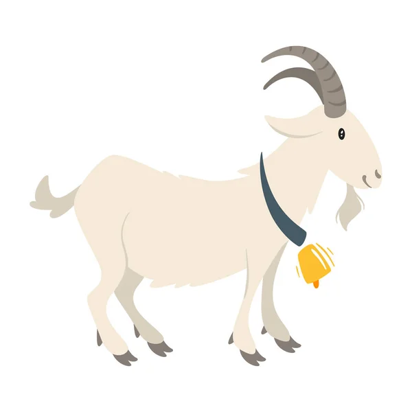 Farm animal - goat — Stock Vector