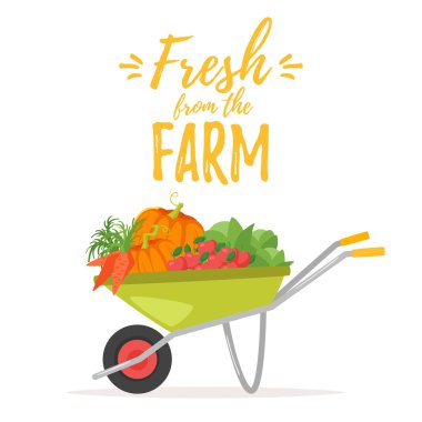 sebze ile el sepeti arabası