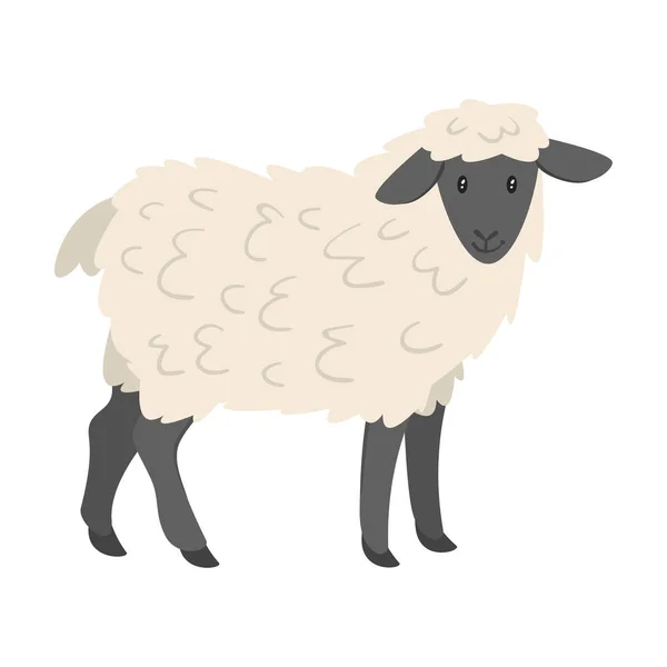 Farma Zwierzęca - owiec — Wektor stockowy