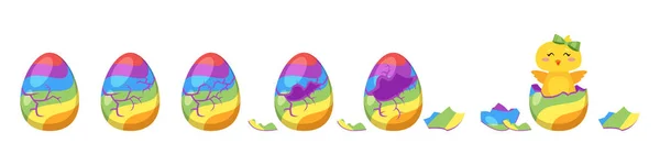 Chick kreskowania animacji z jaja — Wektor stockowy