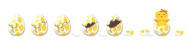 Pollito eclosión animación de huevo — Archivo Imágenes Vectoriales