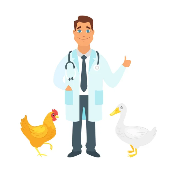 Médico veterinário com aves de fazenda —  Vetores de Stock