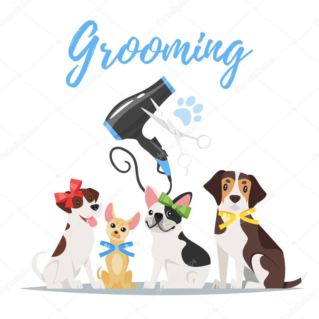 Grooming concept with dogs