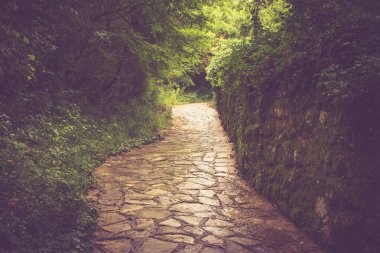 Taşlı yol yeşil ağaçların arasında parkta bükme.