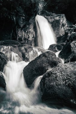 Taşlı rapids dağ nehir manzarası. Siyah ve beyaz fotoğraf.