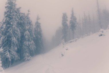 Kış dağlarda manzara. Retro tarzı.