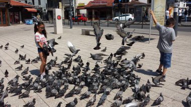 Kız ve erkek güvercin besleme