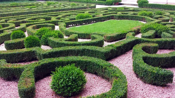 Parkta süs çalıları