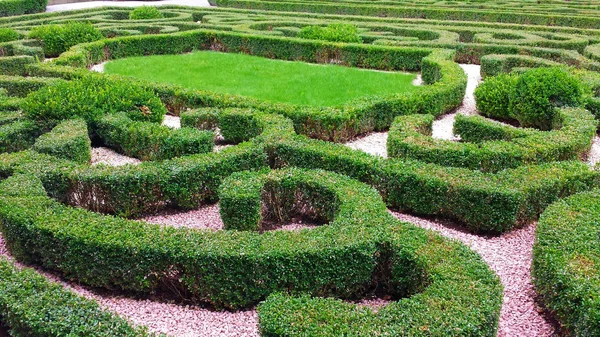 Parkta süs çalıları