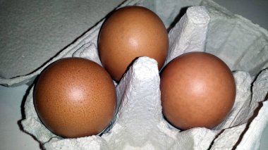 üç kahverengi yumurta