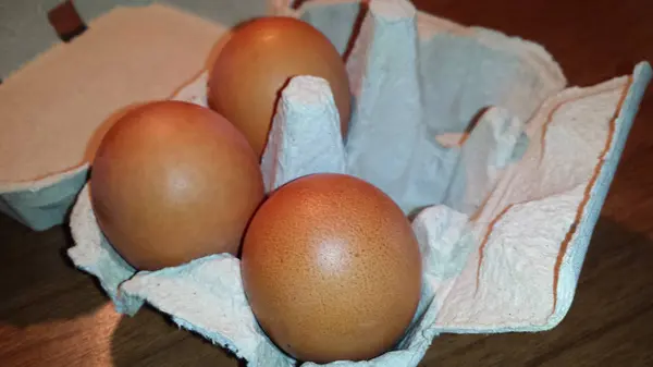 üç kahverengi yumurta
