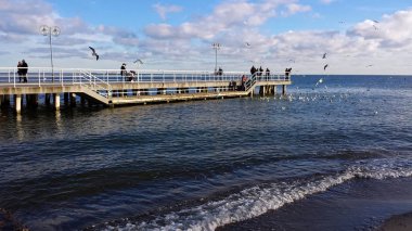 Gdynia, Polonya - 07 Ocak 2018: Pazar yürüyüş deniz kenarında, insanlar kuşları besleyin.