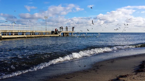 Gdynia Polonia Gennaio 2018 Domenica Passeggiata Riva Mare Gente Nutre — Foto Stock