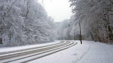 Kış orman. Sokak ve kaldırımda karlı bir orman, insanlar olmadan.
