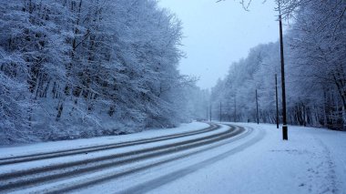 Kış orman. Sokak ve kaldırımda karlı bir orman, insanlar olmadan.