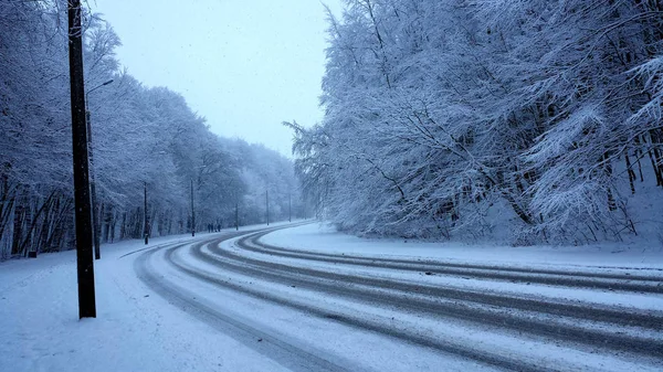 Winter forest.Street and sidewalk in a snowy forest, without people.