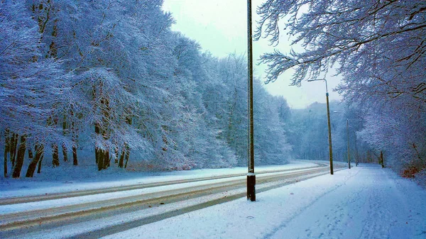 冬の森 街と人なしの雪に覆われた森林内の歩道 — ストック写真